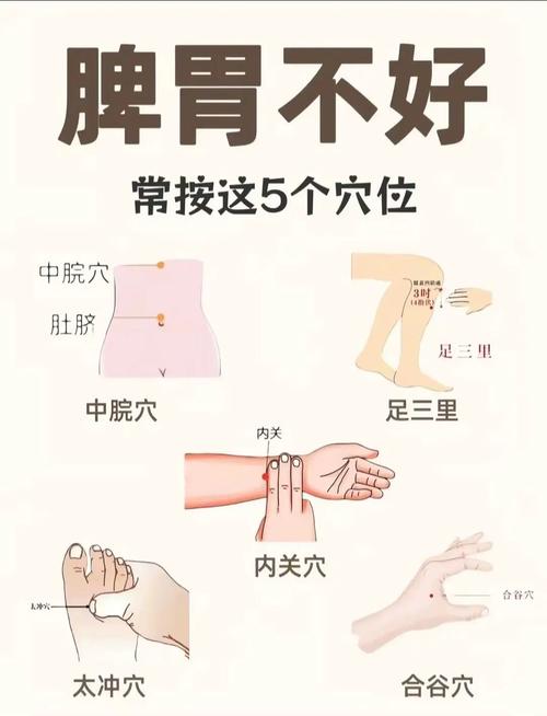 肠胃不好 按摩哪个穴位