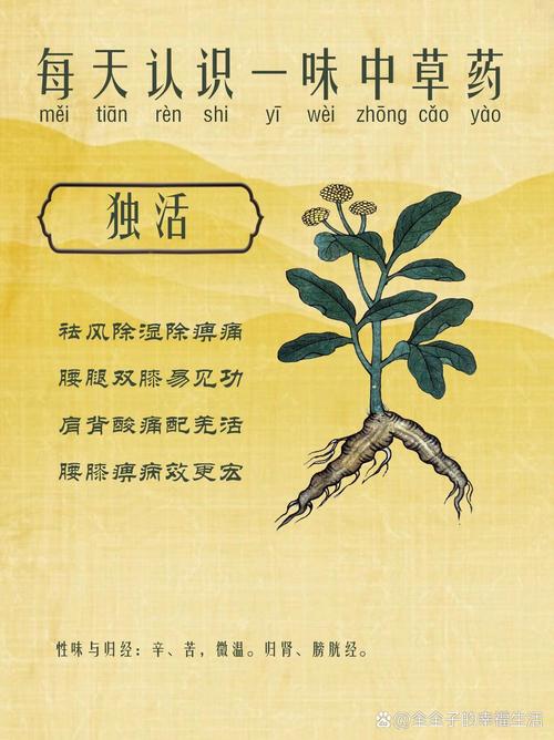 治疗类风湿的中药有哪些比较好