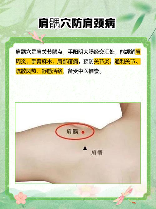 肩周炎针灸穴位视频在线