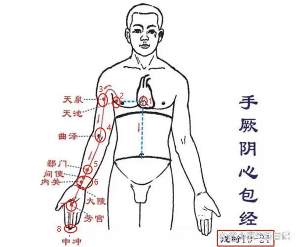 治疗甲状腺按摩什么穴位