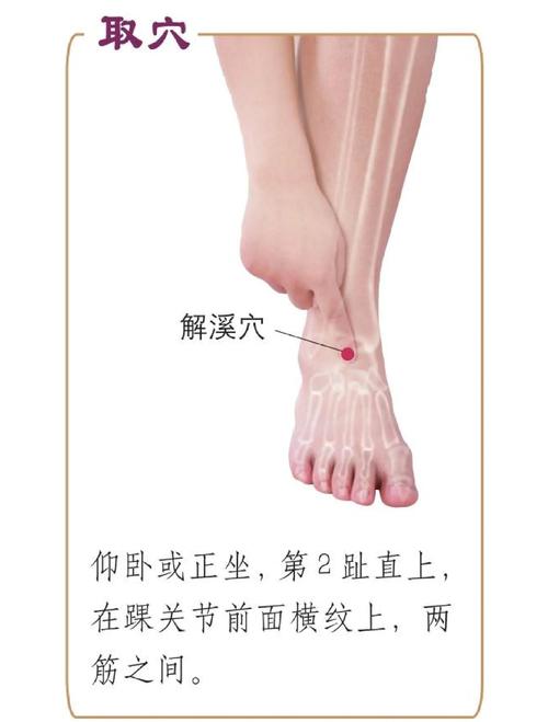 脚踝扭伤恢复 穴位分布