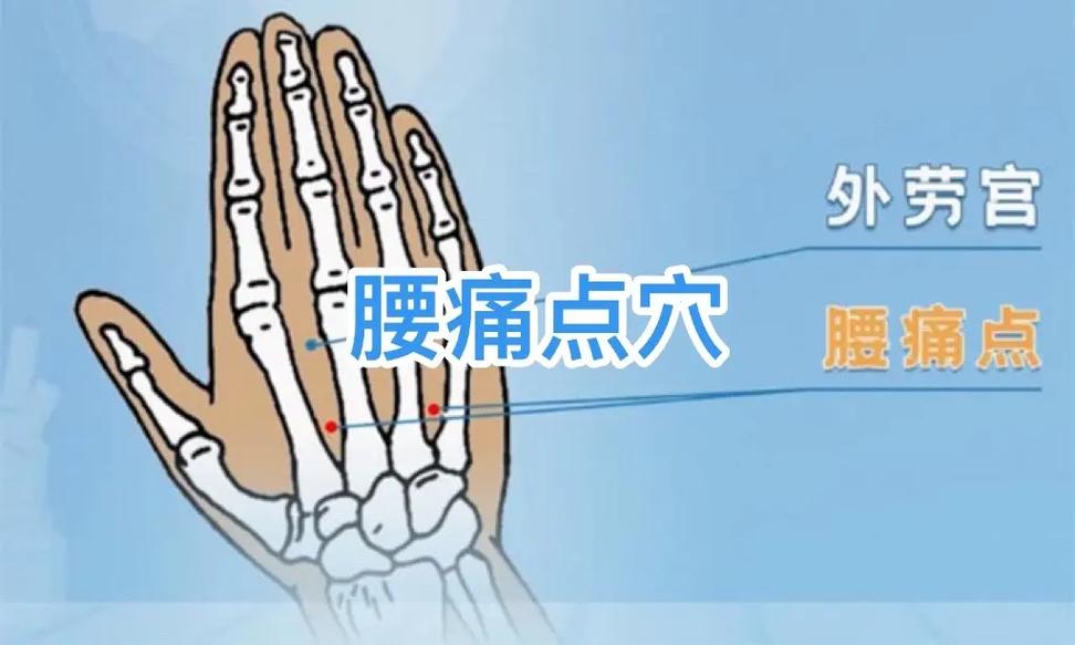 腰痛按摩手 哪个穴位
