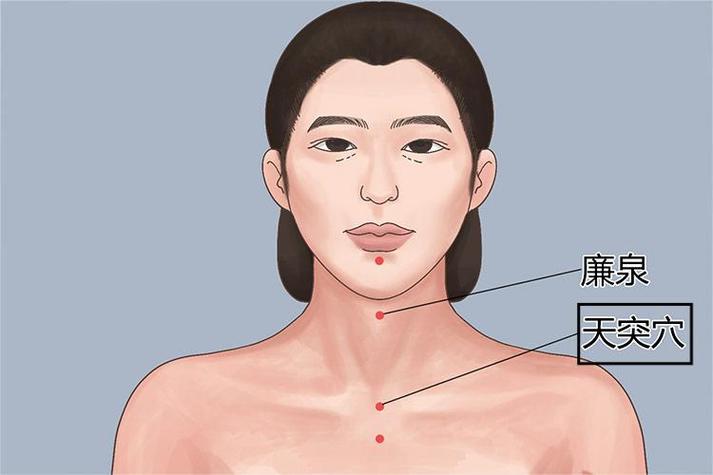穴位图 天突穴 039