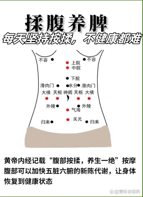 养生 每天按摩哪些穴位