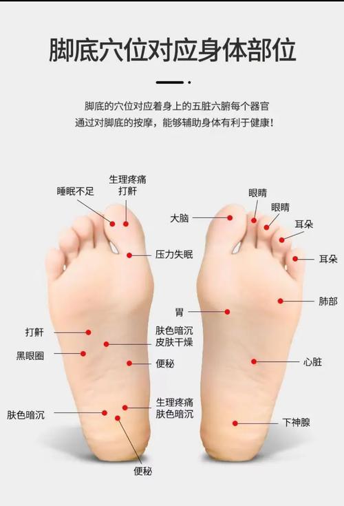 nvxing脚底穴位图