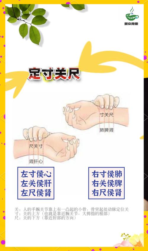 何为同身寸(穴位尺寸)