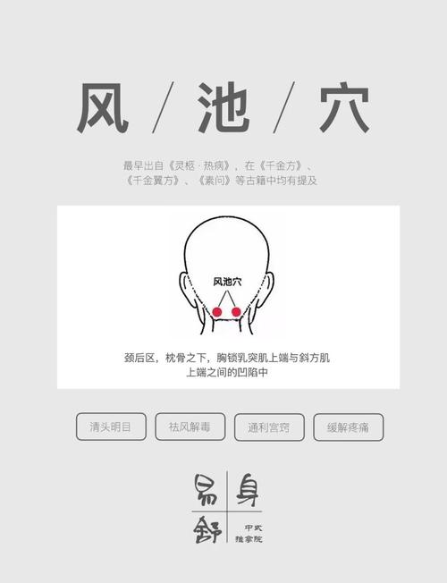 感冒 鼻塞 穴位 风池