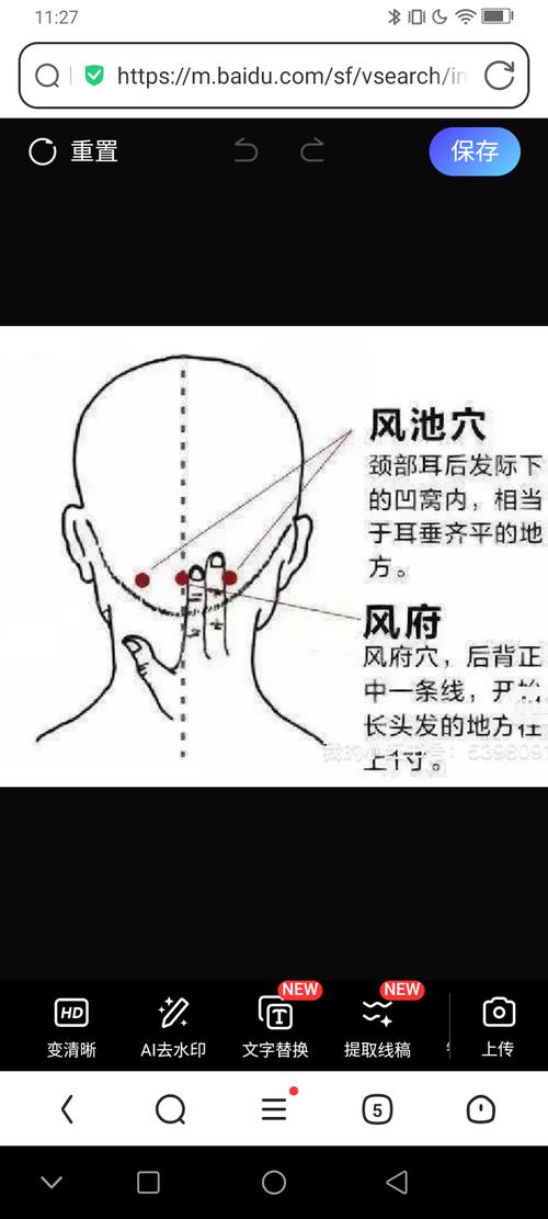 感冒 鼻塞 穴位 风池