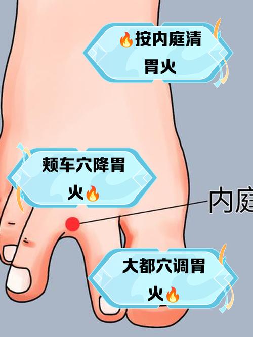肠胃不适 呕吐 穴位