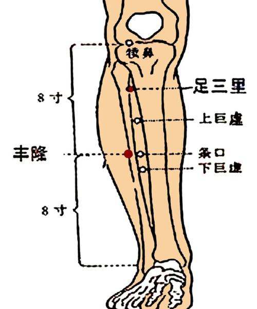 jiang血脂按摩穴位