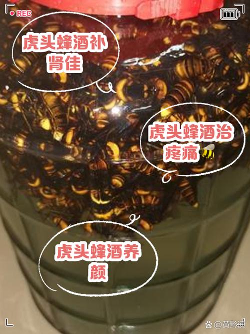 马蜂泡酒能治类风湿关节炎吗
