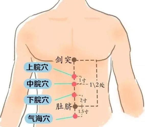 人体 小腹 附近 穴位