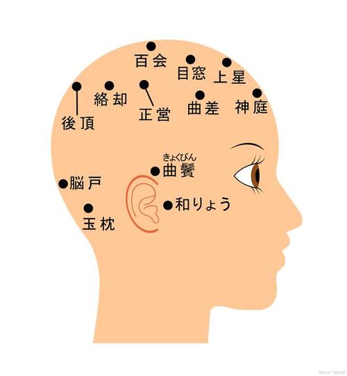 头部穴位sunjiao