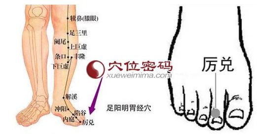 人体穴位历兑穴取穴位置