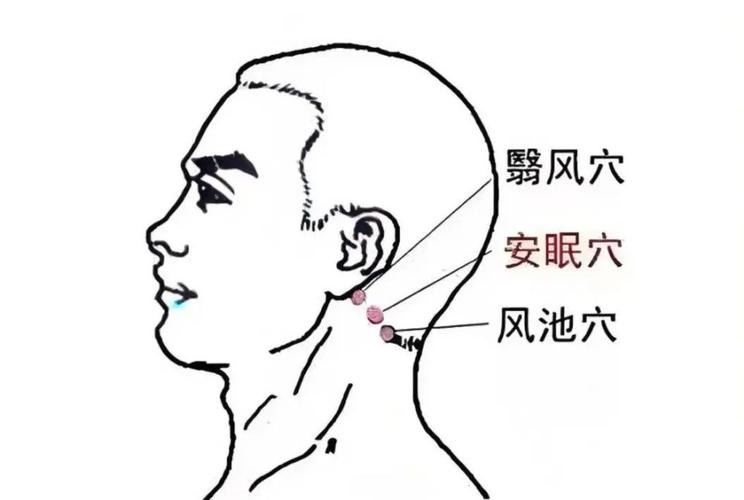人体穴位图安眼穴位置图
