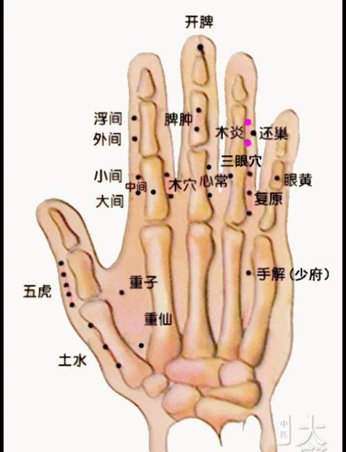 无名手指有什么穴位穴位