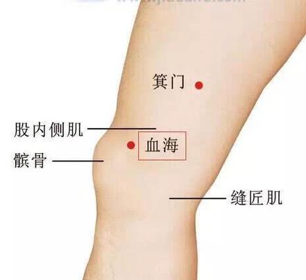 血海穴的准确穴位图穴位