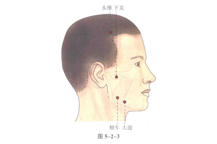 下关穴位和颊车穴位在哪