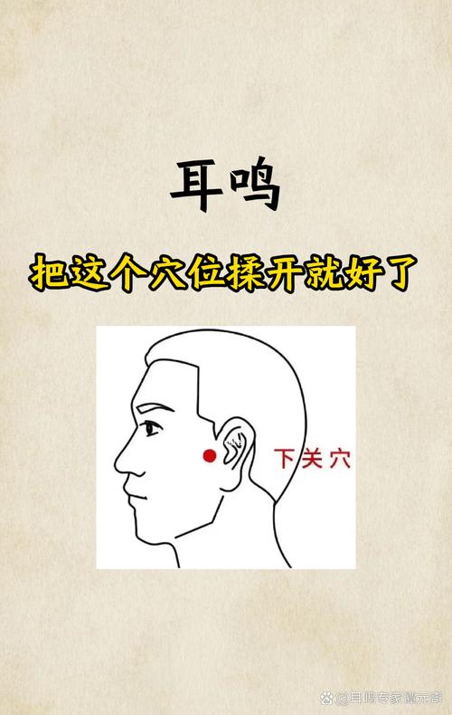 下关穴位和颊车穴位在哪