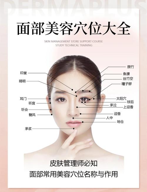 面部穴位图解与穴位疗法