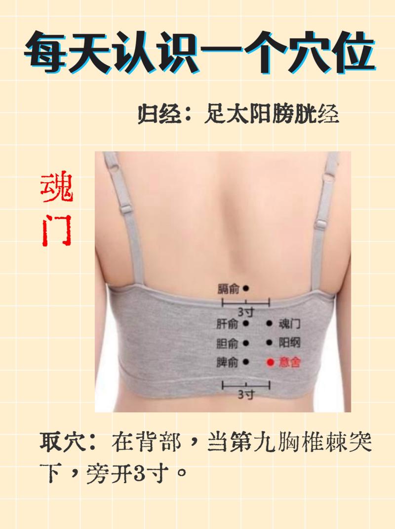 隔关穴位魂门穴位管什么