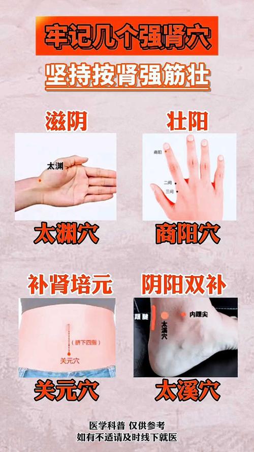 哪个穴位可以增强肾功能