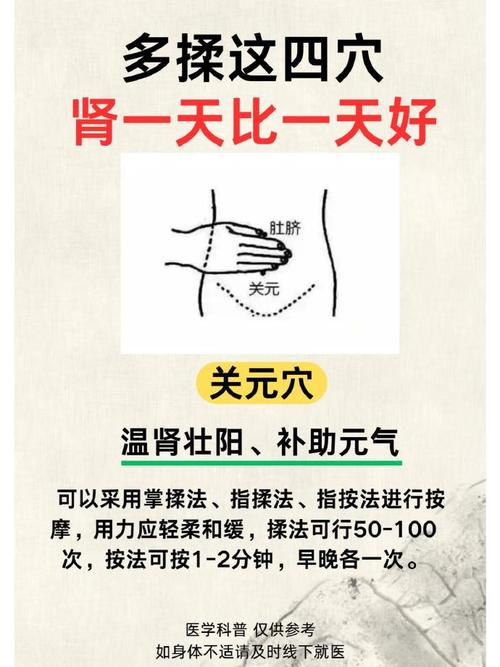 哪个穴位可以增强肾功能