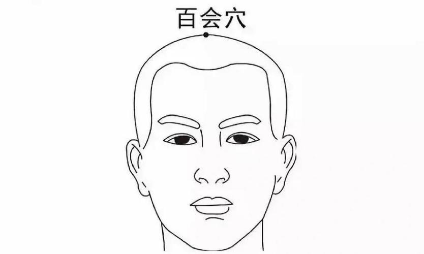 百会穴穴位的准确位置图