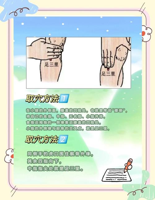 足三里的准确位置图穴位