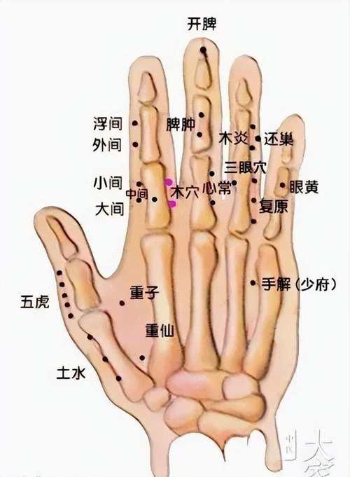 手指关节疼按摩哪个穴位