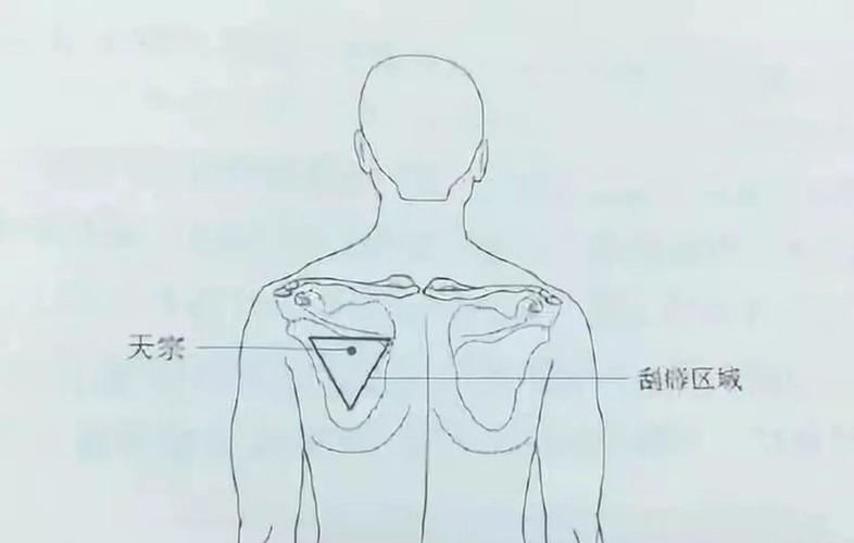 胳膊抬不起来按什么穴位