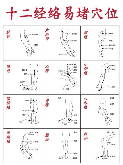 全图解经络穴位速查手册