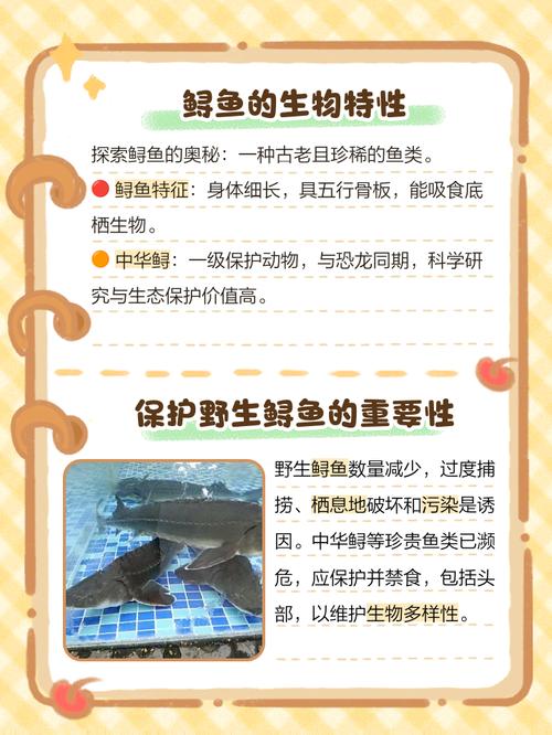 心梗脑梗的人可以吃鲟吗