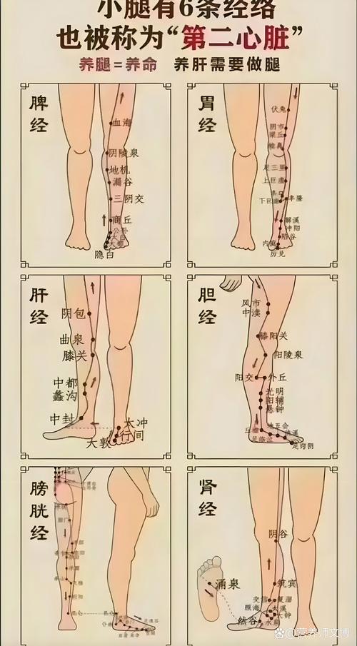 按摩哪个穴位可以瘦小腿