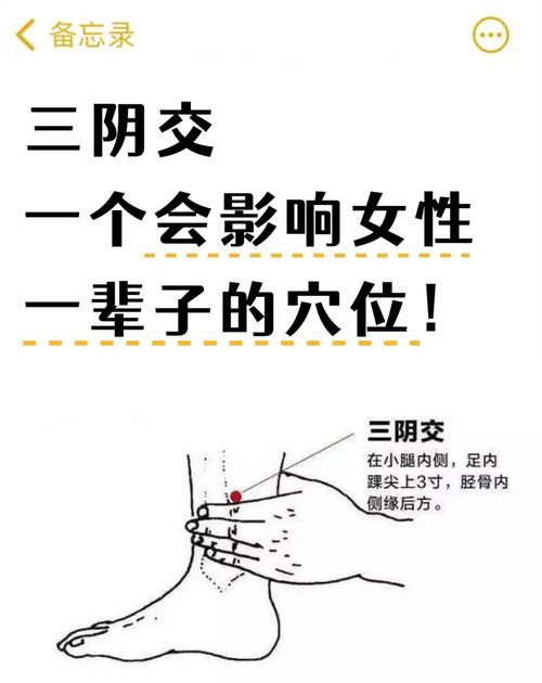 三阴交穴位的准确位置图