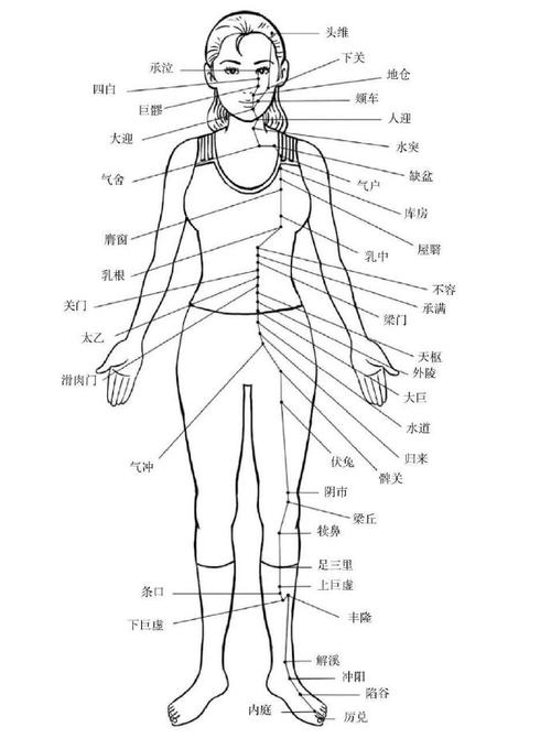 女性穴位图解大全 高清
