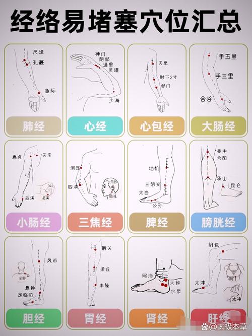 经络穴位按摩大全 下载