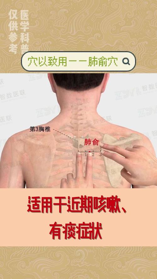 咳嗽 痰多 穴位