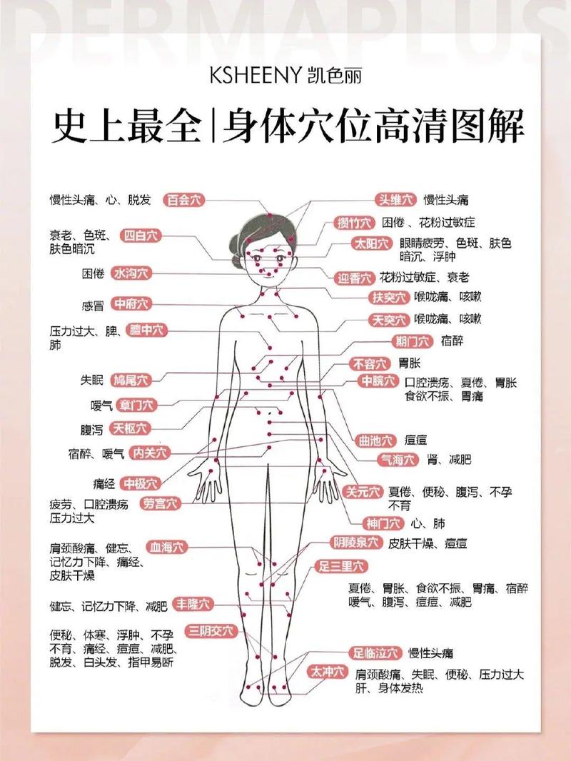 人身上一共有多少个穴位