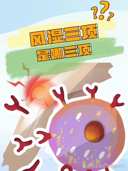 风湿三项能排除类风湿吗