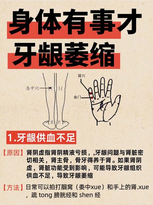 蛀牙可以按摩那个穴位
