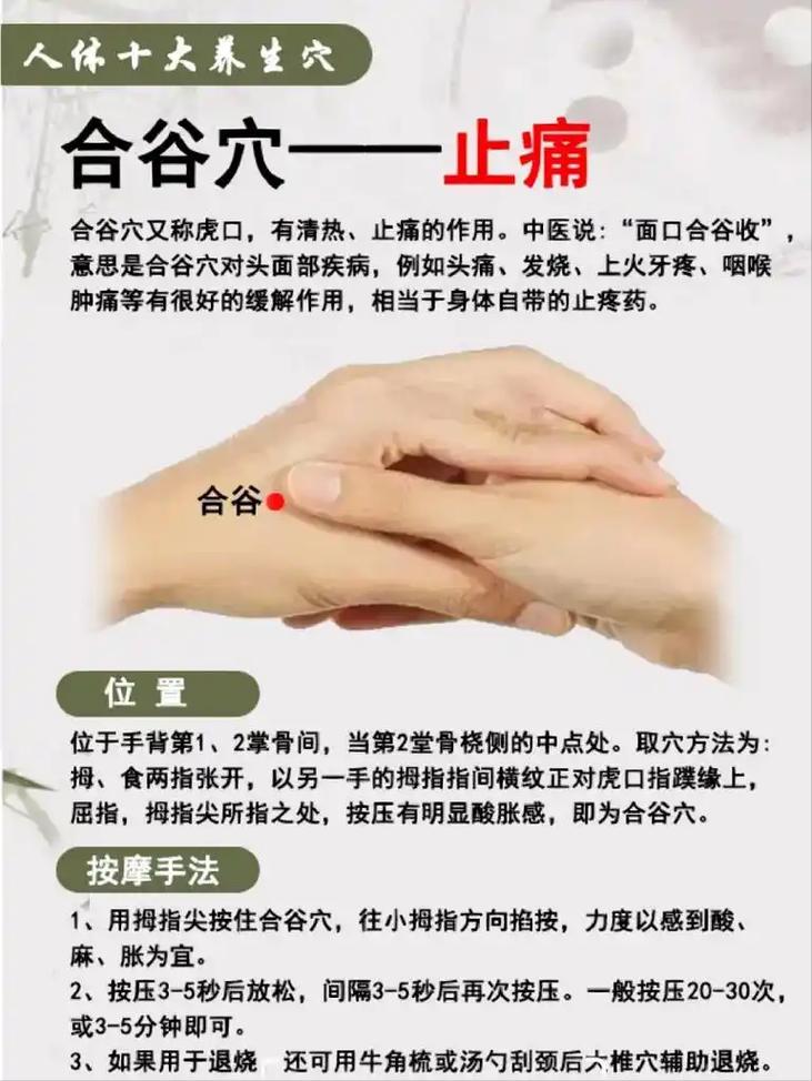 蛀牙可以按摩那个穴位