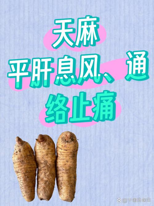 天麻针能治疗脑梗晕吗脑