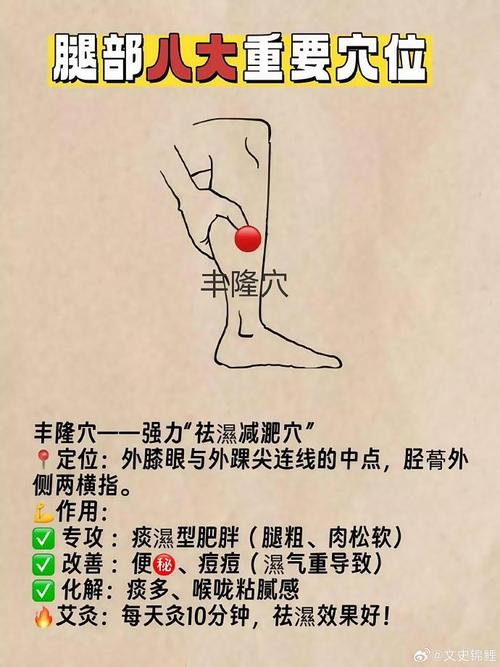 腿部常用治疗按摩穴位