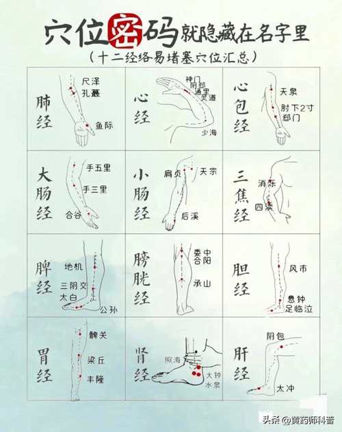 十二经络主要穴位治疗