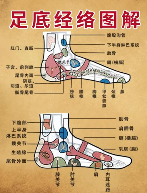 脚底什么穴位可以除湿