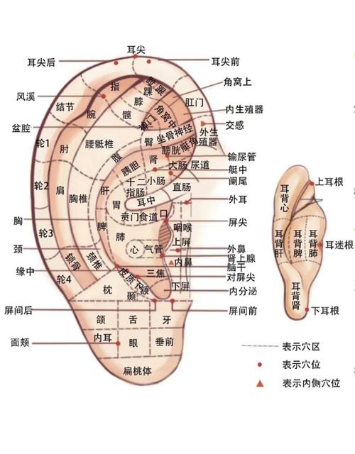感冒引起耳朵堵塞穴位