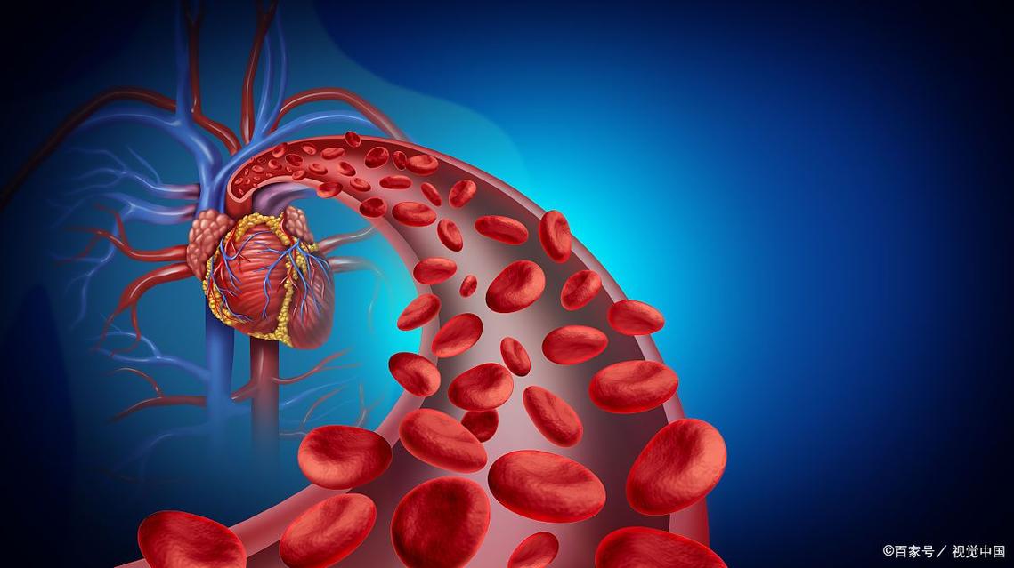 脑梗和心梗是血管堵了吗