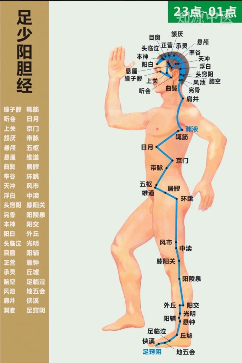 胆管梗阻按摩什么穴位