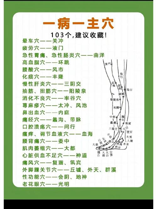 按摩穴位经络功能详解